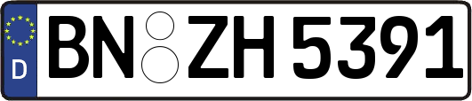 BN-ZH5391