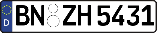 BN-ZH5431