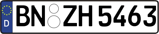 BN-ZH5463