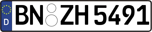 BN-ZH5491