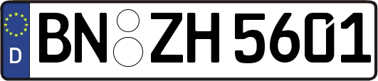 BN-ZH5601