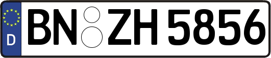 BN-ZH5856