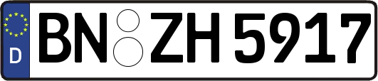 BN-ZH5917