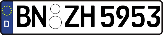 BN-ZH5953