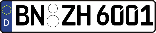 BN-ZH6001