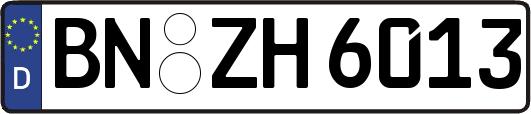 BN-ZH6013