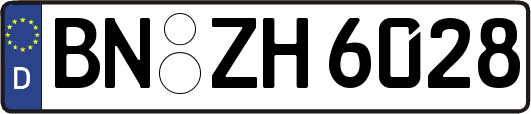 BN-ZH6028