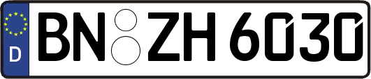 BN-ZH6030