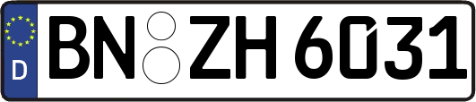BN-ZH6031
