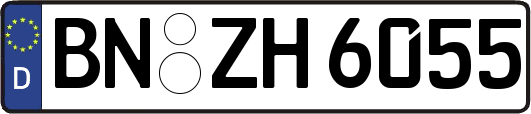 BN-ZH6055