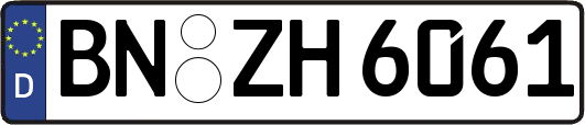 BN-ZH6061