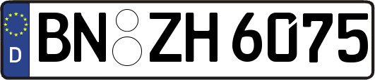BN-ZH6075