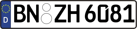 BN-ZH6081