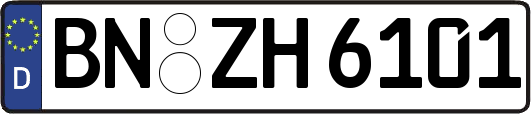 BN-ZH6101
