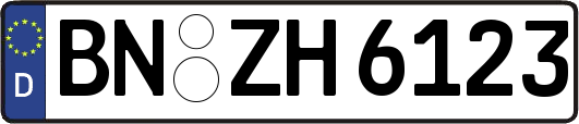 BN-ZH6123