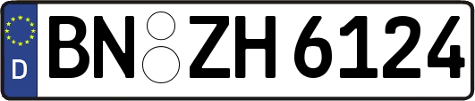 BN-ZH6124