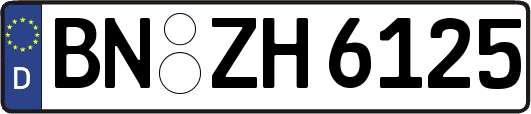 BN-ZH6125