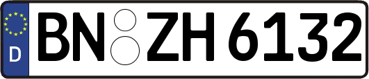 BN-ZH6132