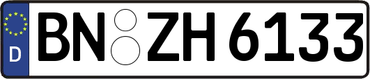 BN-ZH6133