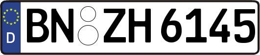 BN-ZH6145