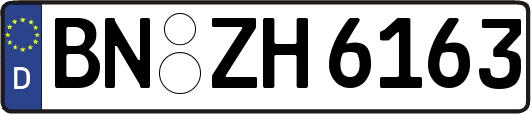BN-ZH6163