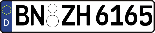 BN-ZH6165
