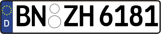 BN-ZH6181