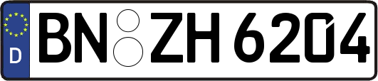 BN-ZH6204