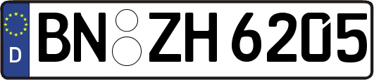BN-ZH6205