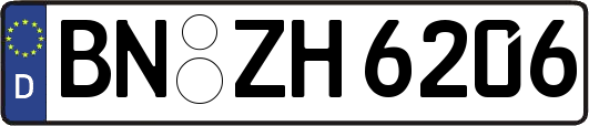 BN-ZH6206