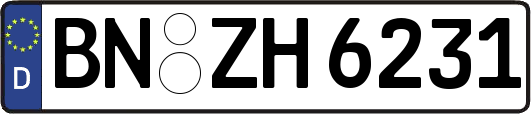 BN-ZH6231