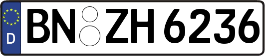 BN-ZH6236