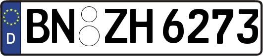 BN-ZH6273