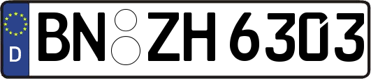 BN-ZH6303