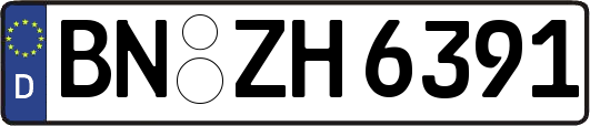 BN-ZH6391