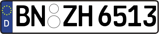 BN-ZH6513