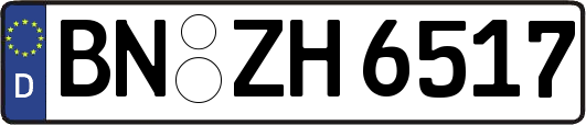 BN-ZH6517