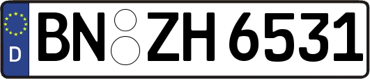 BN-ZH6531