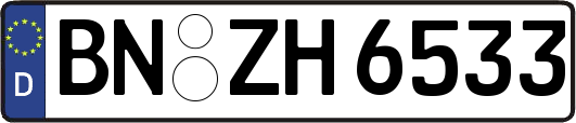 BN-ZH6533