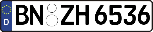 BN-ZH6536