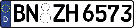 BN-ZH6573