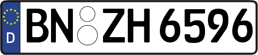 BN-ZH6596