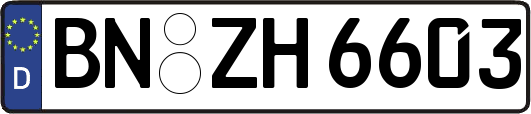 BN-ZH6603