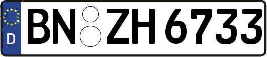 BN-ZH6733