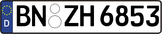 BN-ZH6853