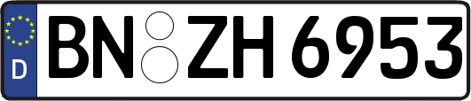 BN-ZH6953