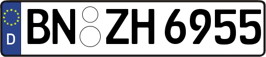 BN-ZH6955