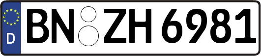 BN-ZH6981