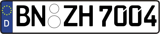BN-ZH7004