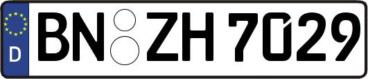 BN-ZH7029